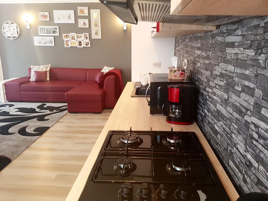 Apartament Fundeni ブカレスト エクステリア 写真